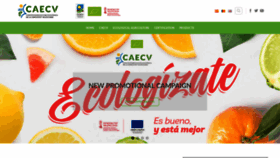 What Caecv.com website looked like in 2020 (3 years ago)