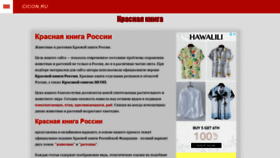 What Cicon.ru website looked like in 2020 (3 years ago)