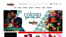 What Capeiros.com website looked like in 2020 (3 years ago)