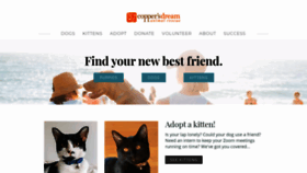 What Coppersdream.org website looked like in 2020 (3 years ago)