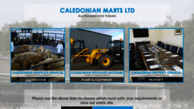 What Caledonian-marts.com website looked like in 2020 (3 years ago)