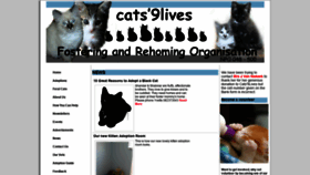 What Cats9lives.co.za website looked like in 2020 (3 years ago)