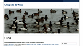 What Chesapeake-bay.org website looked like in 2020 (3 years ago)