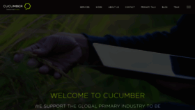 What Cucumber.co.nz website looked like in 2020 (3 years ago)