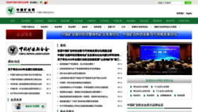 What Chinamining.org.cn website looked like in 2020 (3 years ago)