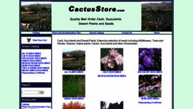What Cactusstore.com website looked like in 2020 (3 years ago)