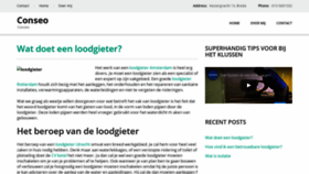 What Conseo.nl website looked like in 2020 (3 years ago)