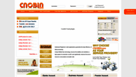 What Cnobin.com website looked like in 2020 (3 years ago)