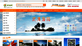 What Csyhts.com website looked like in 2020 (4 years ago)