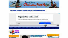 What Cailuongvietnam.com website looked like in 2020 (3 years ago)