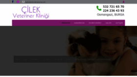 What Cilekveterinerklinigi.com website looked like in 2020 (3 years ago)