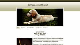 What Carthageanimalhospital.com website looked like in 2020 (3 years ago)