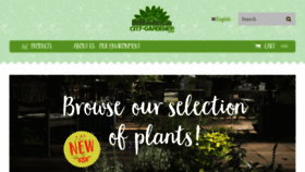 What City-gardener.com website looked like in 2020 (3 years ago)