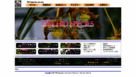 What Cyberwildorchid.com website looked like in 2020 (3 years ago)