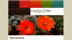 What Cactus-chile.cl website looked like in 2020 (3 years ago)