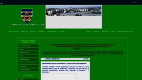 What Cjtulcea.ro website looked like in 2020 (3 years ago)