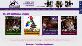What Catchat.org website looked like in 2020 (5 years ago)