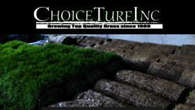 What Choiceturf.com website looked like in 2020 (3 years ago)