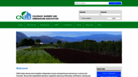 What Coloradonga.org website looked like in 2020 (3 years ago)