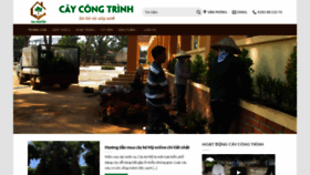 What Caycongtrinh.org website looked like in 2020 (3 years ago)