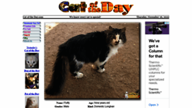 What Catoftheday.com website looked like in 2020 (3 years ago)