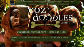 What Cozydoodles.com website looked like in 2020 (3 years ago)