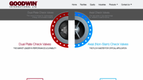 What Checkvalves.co.uk website looked like in 2020 (3 years ago)