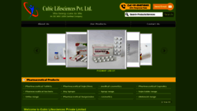 What Cubicsciences.com website looked like in 2020 (3 years ago)