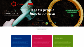 What Caserta.cl website looked like in 2020 (3 years ago)
