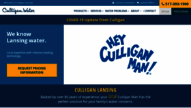 What Culliganlansing.com website looked like in 2020 (3 years ago)