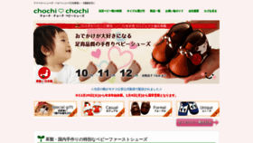 What Chochi-chochi.com website looked like in 2021 (3 years ago)