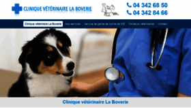 What Cliniqueveterinaireboverieliege.be website looked like in 2021 (3 years ago)