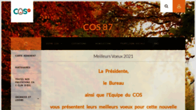 What Cos87.com website looked like in 2021 (3 years ago)