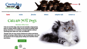What Coonplaymainecoons.com website looked like in 2021 (3 years ago)