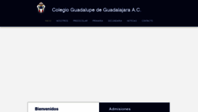 What Colegioguadalupegdl.edu.mx website looked like in 2021 (3 years ago)