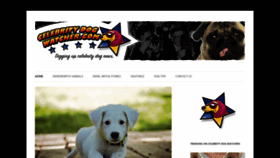 What Celebritydogwatcher.com website looked like in 2021 (3 years ago)