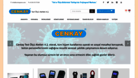 What Cenkaytest.com website looked like in 2021 (3 years ago)