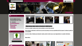 What Clinique-veterinaire-du-confluent.com website looked like in 2021 (3 years ago)