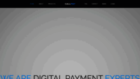 What Callpay.com website looked like in 2021 (3 years ago)