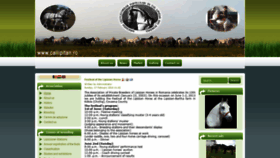 What Callipitan.ro website looked like in 2021 (3 years ago)