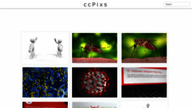 What Ccpixs.com website looked like in 2021 (3 years ago)