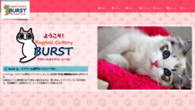 What Cattery-burst.com website looked like in 2021 (3 years ago)
