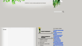 What Cxemok.net website looked like in 2021 (5 years ago)