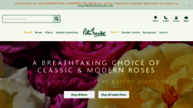 What Classicroses.co.uk website looked like in 2021 (3 years ago)