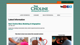 What Cholinecouncil.com website looked like in 2021 (2 years ago)