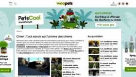 What Chien.fr website looked like in 2021 (2 years ago)