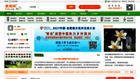 What Cila.cn website looked like in 2021 (2 years ago)