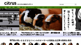 What Citrus-net.jp website looked like in 2021 (2 years ago)