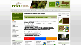 What Ccpae.org website looked like in 2021 (2 years ago)