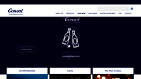What Consol.co.za website looked like in 2021 (2 years ago)